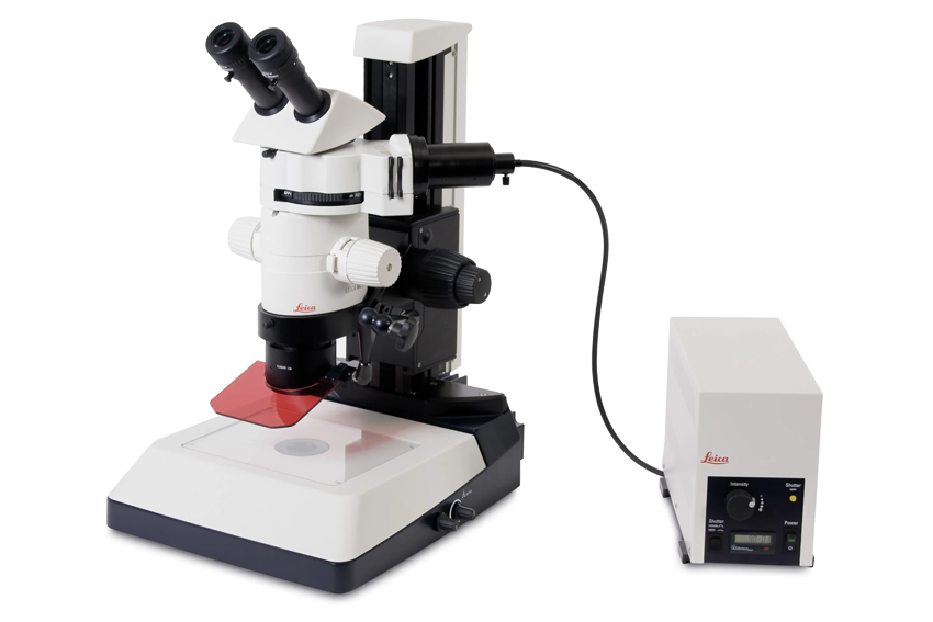 MZ10 F 荧光成像的模块化立体显微镜