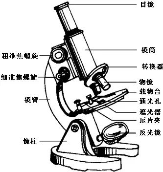 医用光学显微镜