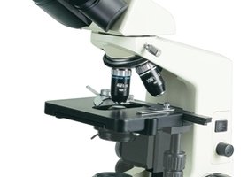 医用倒置显微镜