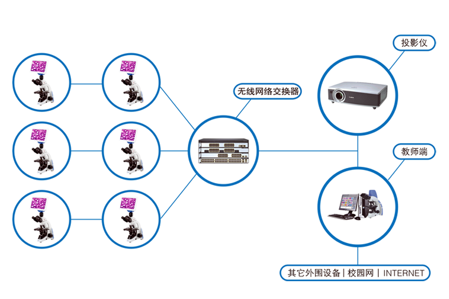 1595315765360569.png 1595315765360569.png