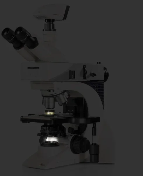 1698650963482557.png 1698650963482557.png