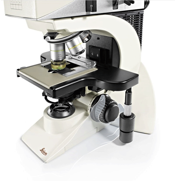 1698651630209464.png 1698651630209464.png