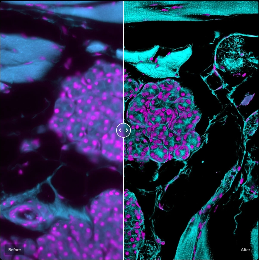 1698807191248960.png 1698807191248960.png