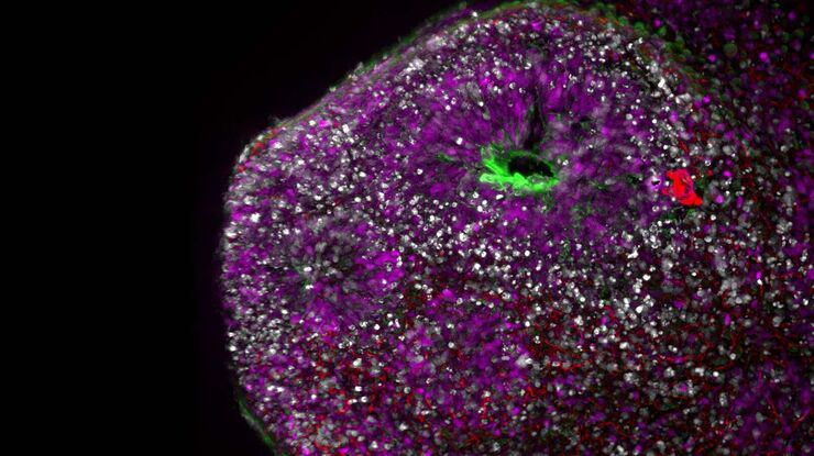 1698826321556519.png 1698826321556519.png