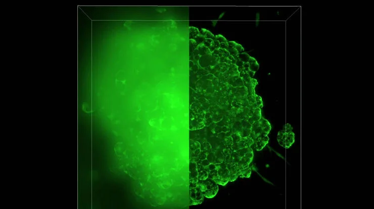 1698826602799219.png 1698826602799219.png