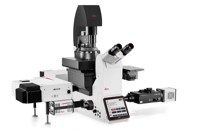 1698828977225174.png 1698828977225174.png