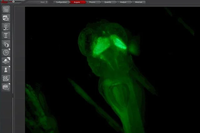 1698975844700958.png 1698975844700958.png